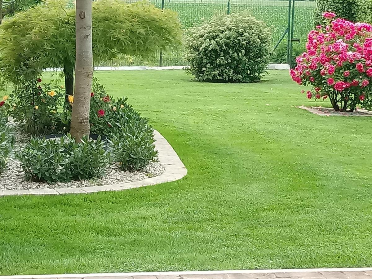 B&B Residence Il Ciliegio , Via Villa Superiore 93 Luzzara Судзара Екстериор снимка